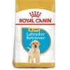 Royal Canin Dog - Labrador Retriever Puppy 12kg -Dog Supply Shop 0022114 royal canin dog labrador retriever puppy 12kg