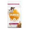Iams Dog Senior & Mature 7+