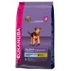 Eukanuba Dog Puppy & Junior Large Breed Chicken 12kg 1 Eukanuba Dog Puppy & Junior Large Breed Chicken 12kg -Dog Supply Shop 56709
