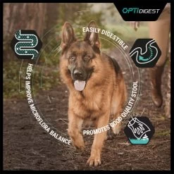 Purina Pro Plan Sensitive Digestion Medium Adult Dry Dog Food - Lamb 21 Purina Pro Plan Sensitive Digestion Medium Adult Dry Dog Food - Lamb -Dog Supply Shop I0044939 en 05