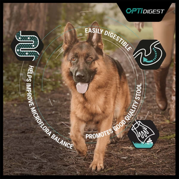 Purina Pro Plan Sensitive Digestion Medium Adult Dry Dog Food - Lamb 12 Purina Pro Plan Sensitive Digestion Medium Adult Dry Dog Food - Lamb - Image 10