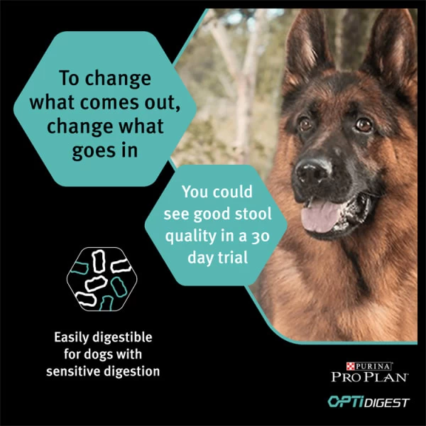 Purina Pro Plan Sensitive Digestion Medium Adult Dry Dog Food - Lamb 9 Purina Pro Plan Sensitive Digestion Medium Adult Dry Dog Food - Lamb - Image 7