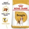 Royal Canin Breed Health Nutrition Beagle Adult Dry Pet Food For Dog 1 Royal Canin Breed Health Nutrition Beagle Adult Dry Pet Food For Dog -Dog Supply Shop I0045282