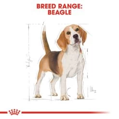 Royal Canin Breed Health Nutrition Beagle Adult Dry Pet Food For Dog -Dog Supply Shop I0045282 en 03
