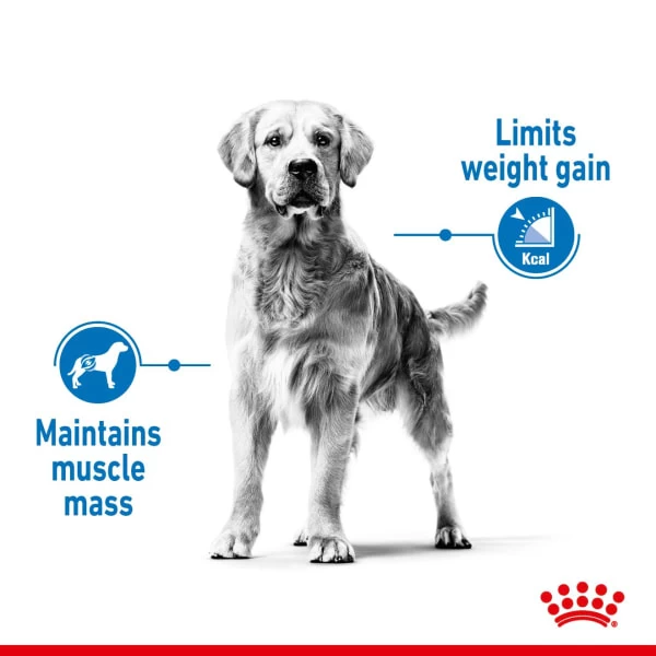 Royal Canin Maxi Light Weight Care 5 Royal Canin Maxi Light Weight Care - Image 3
