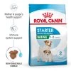 Royal Canin Size Health Nutrition Starter Mother & Babydog - Mini Dry Pet Food For Dog 2 Royal Canin Size Health Nutrition Starter Mother & Babydog - Mini Dry Pet Food For Dog -Dog Supply Shop I0045465