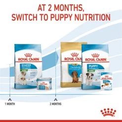 Royal Canin Size Health Nutrition Starter Mother & Babydog - Mini Dry Pet Food For Dog 11 Royal Canin Size Health Nutrition Starter Mother & Babydog - Mini Dry Pet Food For Dog -Dog Supply Shop I0045465 en 04