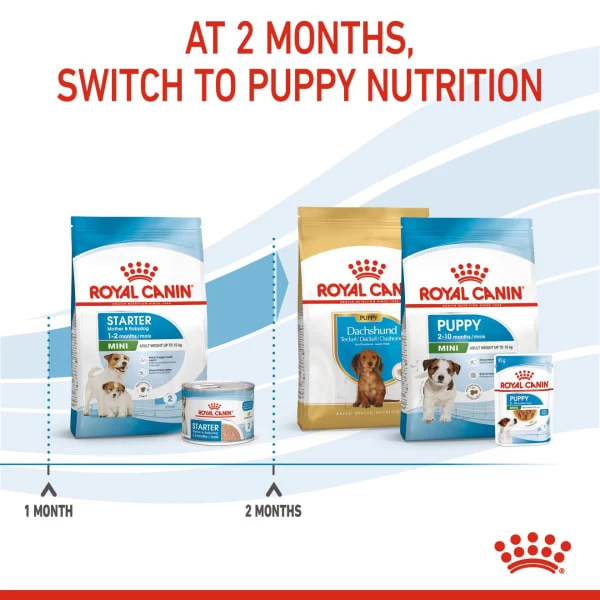 Royal Canin Size Health Nutrition Starter Mother & Babydog - Mini Dry Pet Food For Dog 6 Royal Canin Size Health Nutrition Starter Mother & Babydog - Mini Dry Pet Food For Dog - Image 4