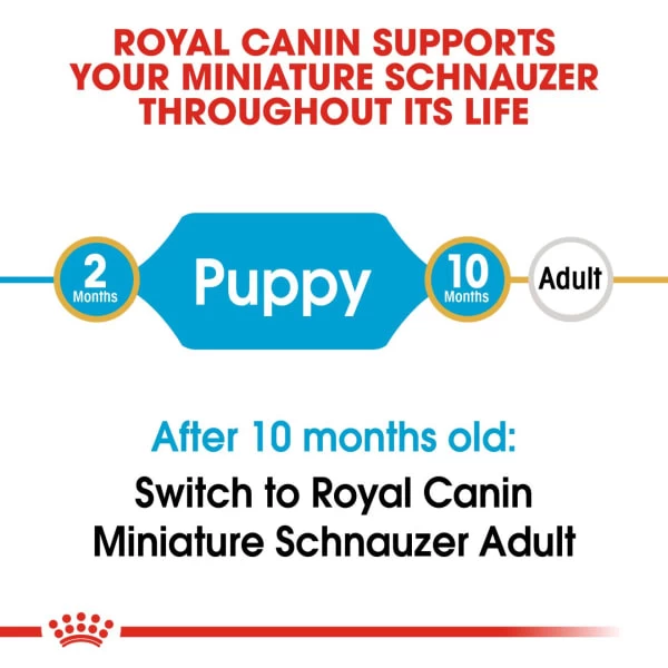 Royal Canin Breed Health Nutrition Schnauzer Puppy Dry Pet Food For Dog 9 Royal Canin Breed Health Nutrition Schnauzer Puppy Dry Pet Food For Dog - Image 7
