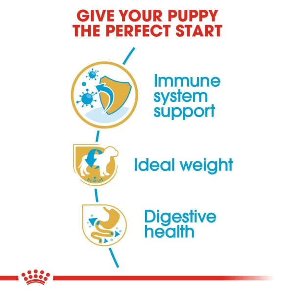 Royal Canin Breed Health Nutrition Schnauzer Puppy Dry Pet Food For Dog 4 Royal Canin Breed Health Nutrition Schnauzer Puppy Dry Pet Food For Dog - Image 2