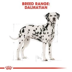 Royal Canin Dalmatian Adult Dog Dry Food 13 Royal Canin Dalmatian Adult Dog Dry Food -Dog Supply Shop I9108890 en 04