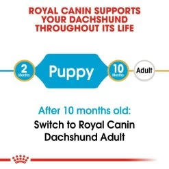 Royal Canin Dachshund Puppy Dog Dry Food 13 Royal Canin Dachshund Puppy Dog Dry Food -Dog Supply Shop I9112372 en 03
