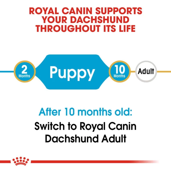 Royal Canin Dachshund Puppy Dog Dry Food 5 Royal Canin Dachshund Puppy Dog Dry Food - Image 3