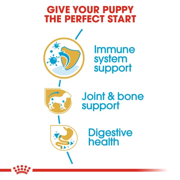 Royal Canin Dachshund Puppy Dog Dry Food 7 Royal Canin Dachshund Puppy Dog Dry Food - Image 5
