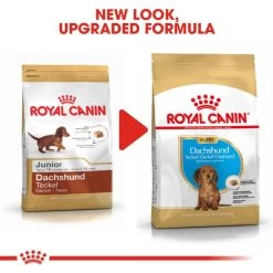 Royal Canin Dachshund Puppy Dog Dry Food 18 Royal Canin Dachshund Puppy Dog Dry Food -Dog Supply Shop I9112372 en 08