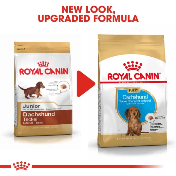 Royal Canin Dachshund Puppy Dog Dry Food 10 Royal Canin Dachshund Puppy Dog Dry Food - Image 8