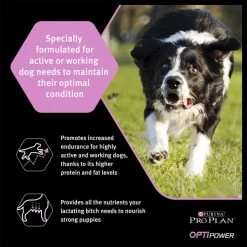 Purina Pro Plan OptiPower Performance Adult Dry Dog Food - Chicken -Dog Supply Shop I9127278 en 06