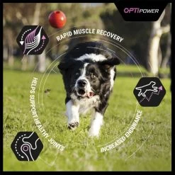 Purina Pro Plan OptiPower Performance Adult Dry Dog Food - Chicken -Dog Supply Shop I9127278 en 07