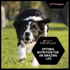 Purina Pro Plan OptiPower Performance Adult Dry Dog Food - Chicken -Dog Supply Shop I9127278 en 09