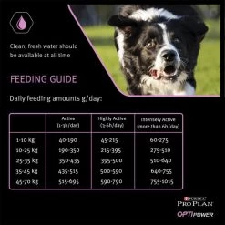 Purina Pro Plan OptiPower Performance Adult Dry Dog Food - Chicken -Dog Supply Shop I9127278 en 11