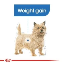 Royal Canin Light Weight Care Adult Dog Wet Food 12 Royal Canin Light Weight Care Adult Dog Wet Food -Dog Supply Shop I9378291 en 03