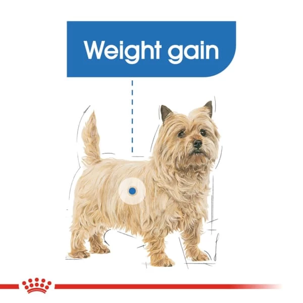 Royal Canin Light Weight Care Adult Dog Wet Food 5 Royal Canin Light Weight Care Adult Dog Wet Food - Image 3