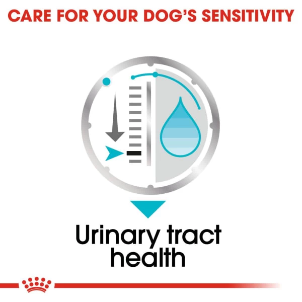 Royal Canin Urinary Care Adult Dog Wet Food 7 Royal Canin Urinary Care Adult Dog Wet Food - Image 5