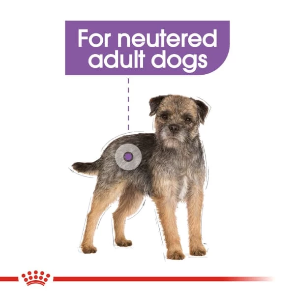 Royal Canin Canine Care Nutrition Sterilised Wet Pet Food For Dog 6 Royal Canin Canine Care Nutrition Sterilised Wet Pet Food For Dog - Image 4