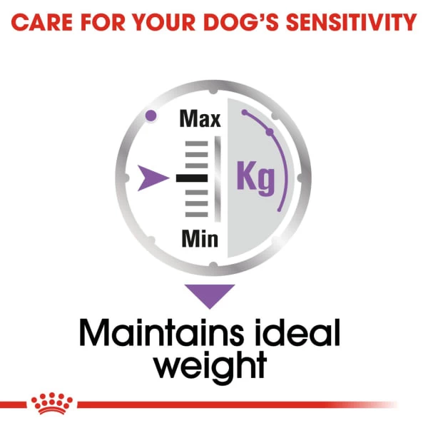 Royal Canin Canine Care Nutrition Sterilised Wet Pet Food For Dog 7 Royal Canin Canine Care Nutrition Sterilised Wet Pet Food For Dog - Image 5