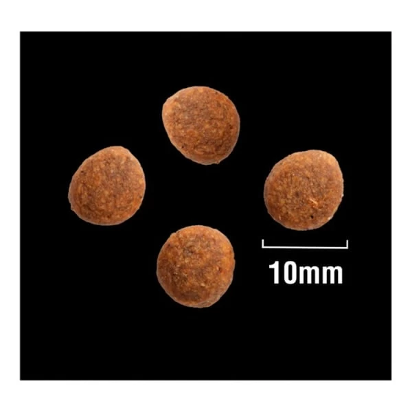 Crave Grain-free Adult Dry Dog Food - Lamb & Beef 4 Crave Grain-free Adult Dry Dog Food - Lamb & Beef - Image 2