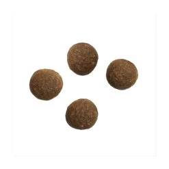 Crave Grain-free Adult Dry Dog Food - Lamb & Beef 8 Crave Grain-free Adult Dry Dog Food - Lamb & Beef -Dog Supply Shop I9414279 en 03