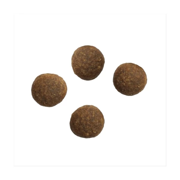 Crave Grain-free Adult Dry Dog Food - Lamb & Beef 5 Crave Grain-free Adult Dry Dog Food - Lamb & Beef - Image 3