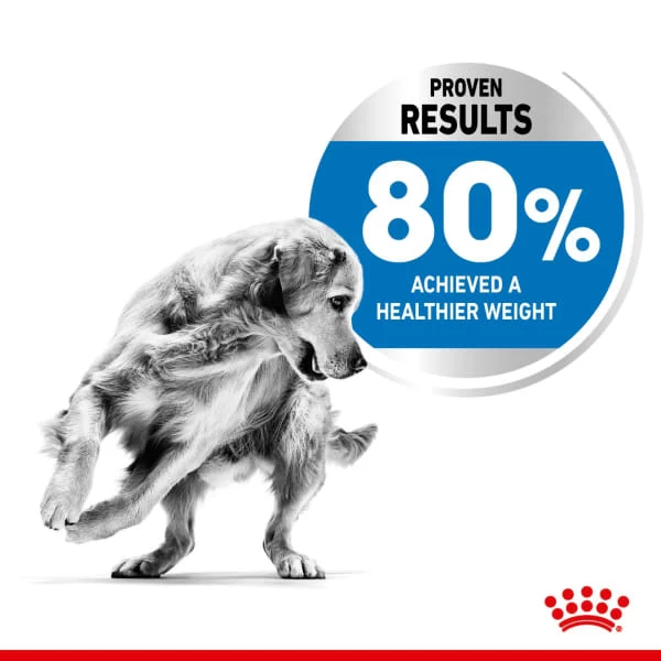Royal Canin Medium Light Weight Care 6 Royal Canin Medium Light Weight Care - Image 4