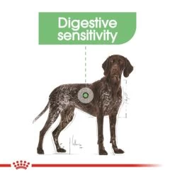 Royal Canin Maxi Digestive Care Adult Dog Dry Food 14 Royal Canin Maxi Digestive Care Adult Dog Dry Food -Dog Supply Shop I9499292 en 04
