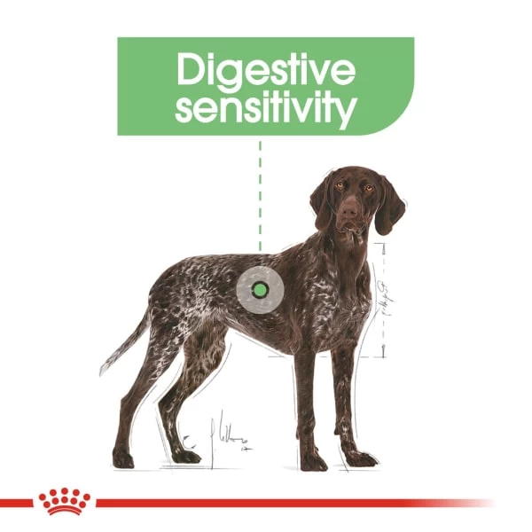 Royal Canin Maxi Digestive Care Adult Dog Dry Food 6 Royal Canin Maxi Digestive Care Adult Dog Dry Food - Image 4