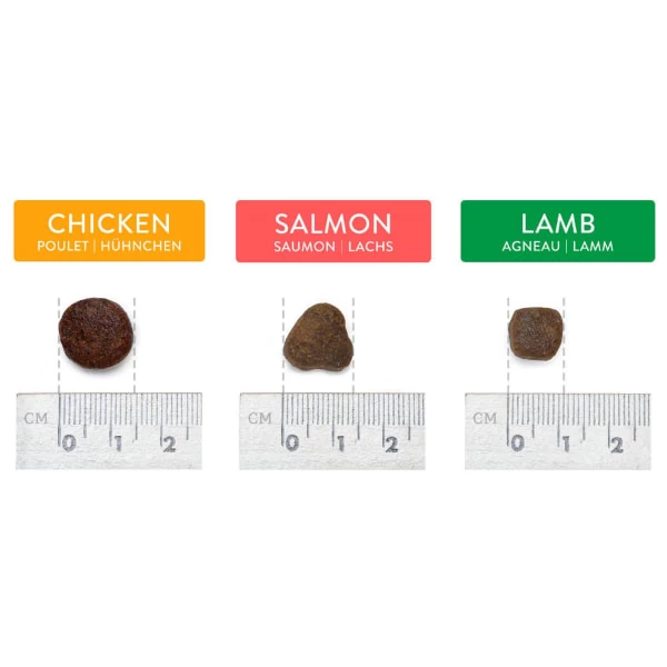 Canine Choice Super Premium Grain-free Medium Adult Dry Dog Food - Salmon 4 Canine Choice Super Premium Grain-free Medium Adult Dry Dog Food - Salmon - Image 2