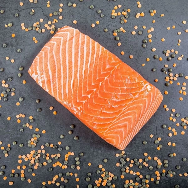 Bob And Lush Light & Tasty Grain-free Wet Dog Food - Salmon 6 Bob And Lush Light & Tasty Grain-free Wet Dog Food - Salmon - Image 4