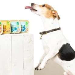 Edgard & Cooper Organic Grain-free Adult Wet Dog Food - Fish -Dog Supply Shop I9521000 04