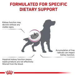 Royal Canin Early Renal Adult Dry Dog Food -Dog Supply Shop I9530471 en 02