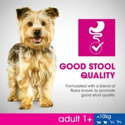 Perfect Fit Extra Small And Small Adult 1+ Dry Dog Food - Chicken 17 Perfect Fit Extra Small And Small Adult 1+ Dry Dog Food - Chicken -Dog Supply Shop I9601277 en 04