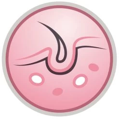 Dog Supply Shop -Dog Supply Shop I9629278 05