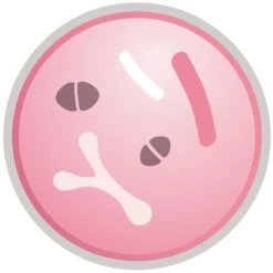 Purina Pro Plan Acti Protect Derma Care Small And Mini Adult Dry Dog Food - Salmon 13 Purina Pro Plan Acti Protect Derma Care Small And Mini Adult Dry Dog Food - Salmon -Dog Supply Shop I9629278 07