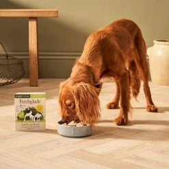 Forthglade Complete Meal Grain-free Puppy Wet Dog Food - Lamb With Liver, Sweet Potato & Vegetables -Dog Supply Shop I9687280 en 04