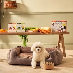 Forthglade Complete Meal Grain-free Senior Wet Dog Food - Variety Pack 15 Forthglade Complete Meal Grain-free Senior Wet Dog Food - Variety Pack -Dog Supply Shop I9687289 en 06