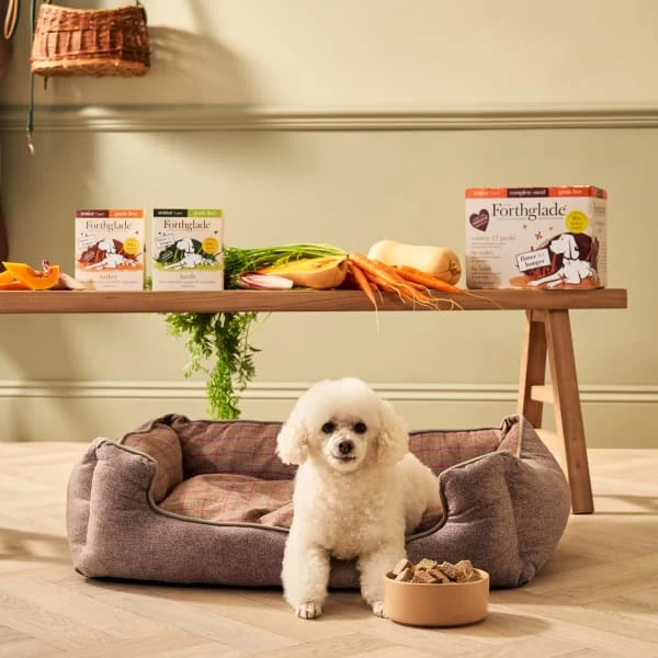 Forthglade Complete Meal Grain-free Senior Wet Dog Food - Variety Pack 8 Forthglade Complete Meal Grain-free Senior Wet Dog Food - Variety Pack - Image 6