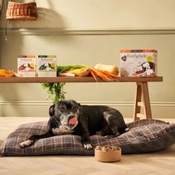 Forthglade Complete Meal Grain-free Senior Wet Dog Food - Variety Pack 14 Forthglade Complete Meal Grain-free Senior Wet Dog Food - Variety Pack -Dog Supply Shop I9687289 en 07