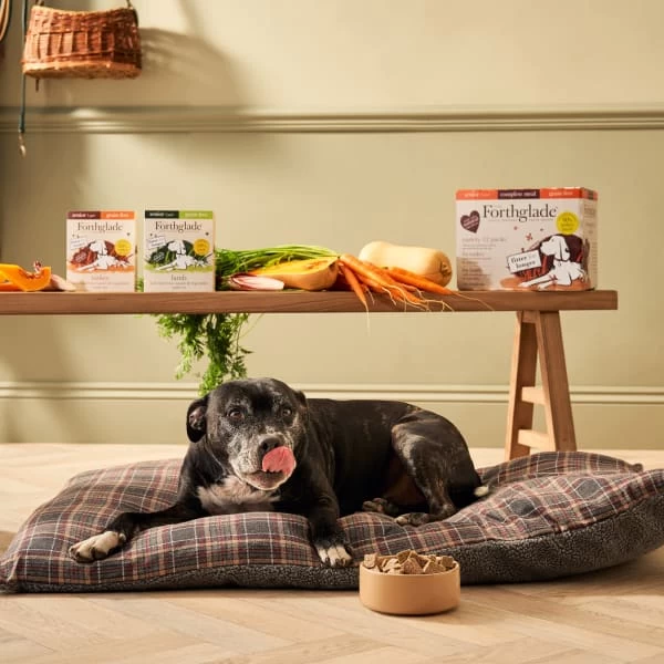 Forthglade Complete Meal Grain-free Senior Wet Dog Food - Variety Pack 7 Forthglade Complete Meal Grain-free Senior Wet Dog Food - Variety Pack - Image 5