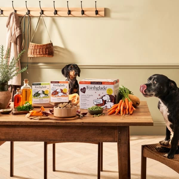 Forthglade Complete Meal Grain-free Senior Wet Dog Food - Variety Pack 9 Forthglade Complete Meal Grain-free Senior Wet Dog Food - Variety Pack - Image 7