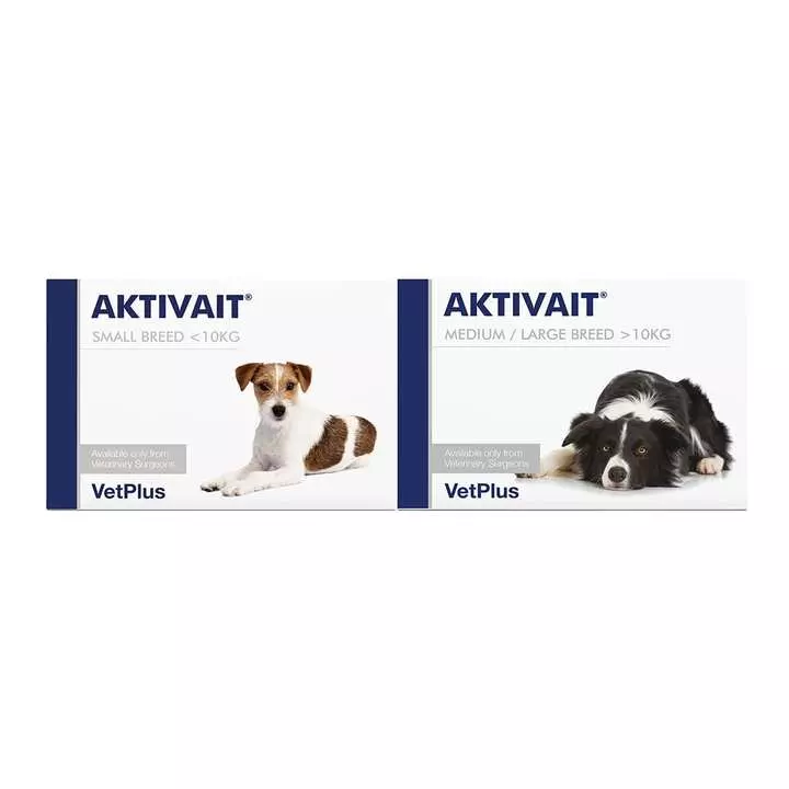 Aktivait For Dogs & Cats