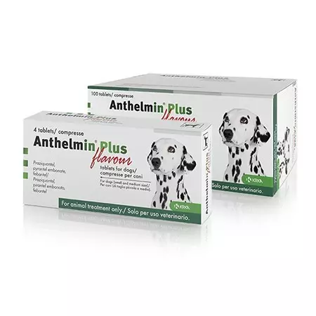 Anthelmin Plus For Dogs 3 Anthelmin Plus For Dogs